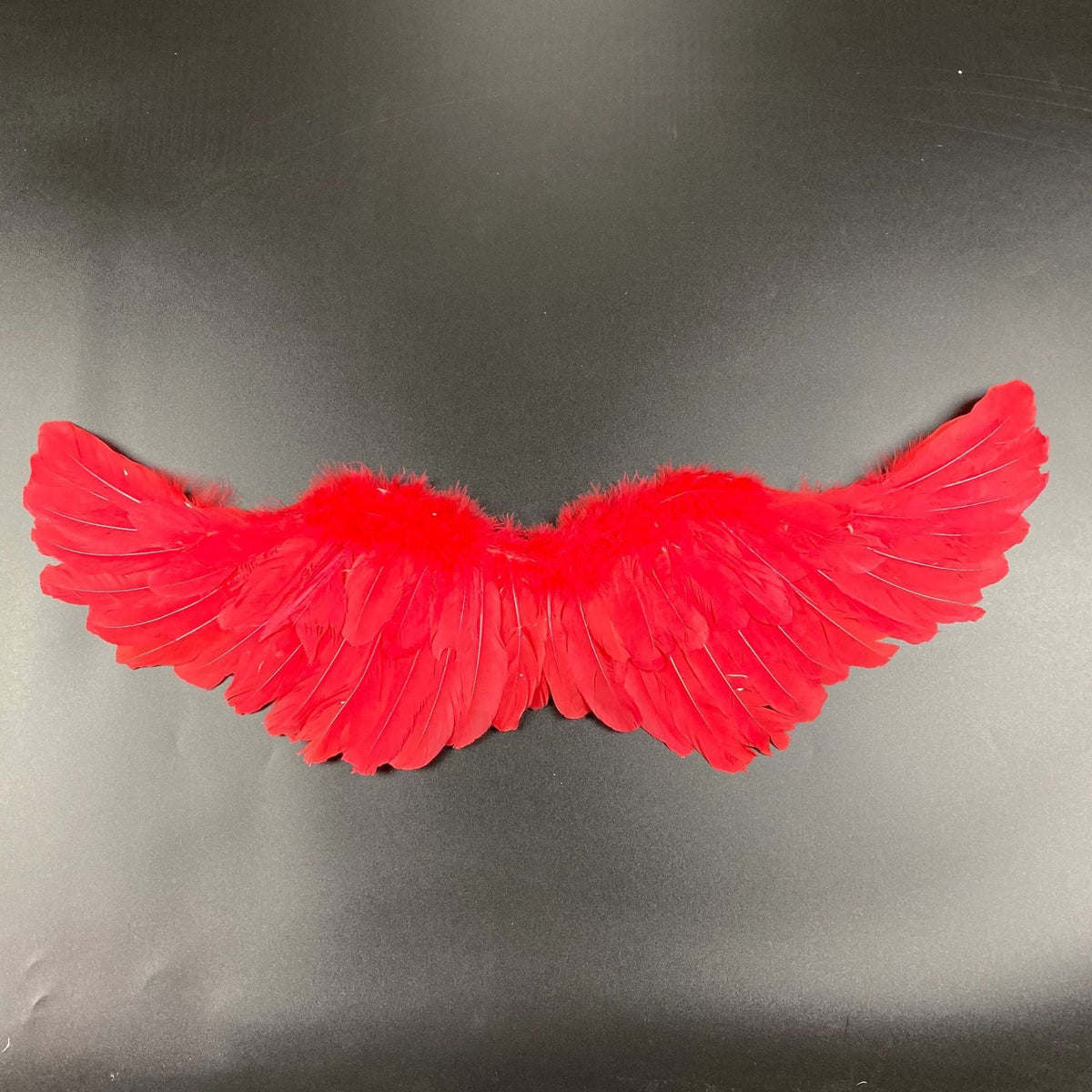 Black Feather Wings White Halloween Cosplay Angel Wings