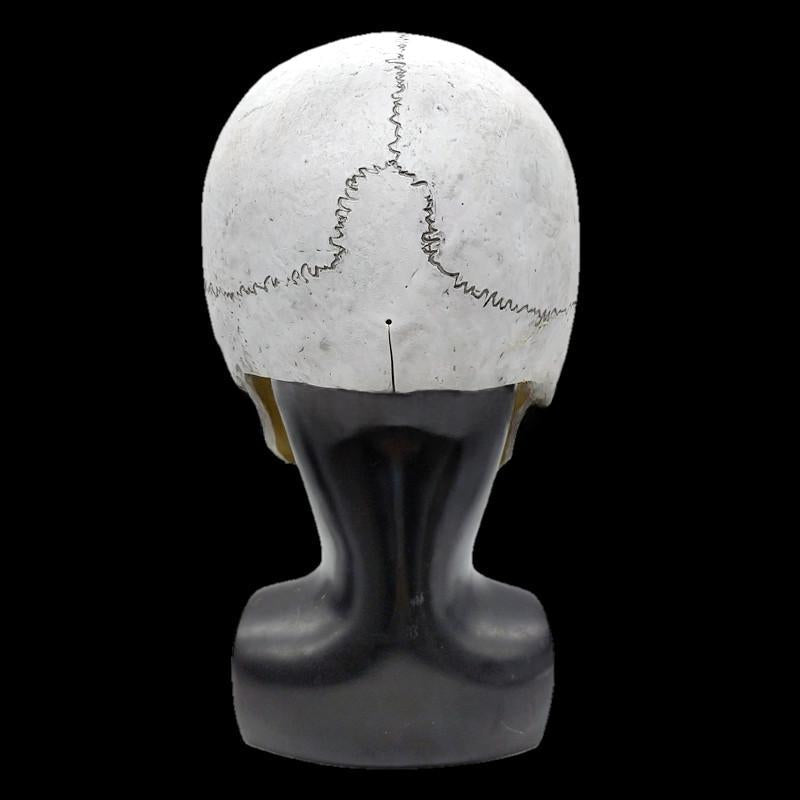 Halloween Moving Mouth Skull Mask Full Head Bone